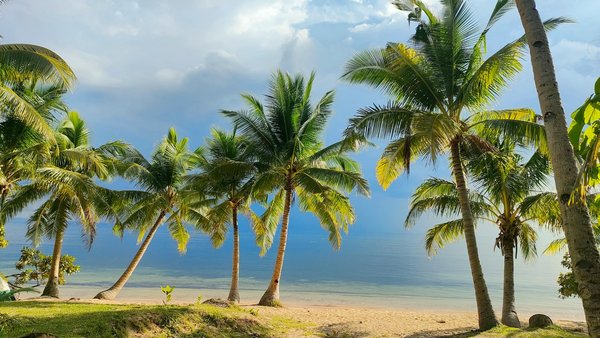 Découvrez le meilleur sifflet de survie pour vos aventures